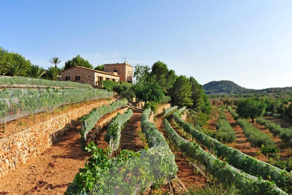Es Castell De Ca N'Alou De Ses Cases Noves S'Horta Экстерьер фото